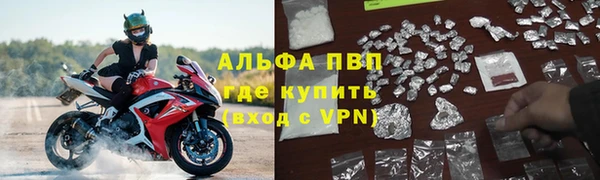 бошки Белокуриха
