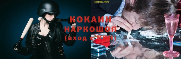 бошки Белокуриха
