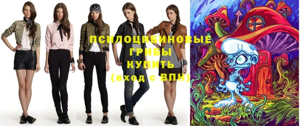 бошки Белокуриха