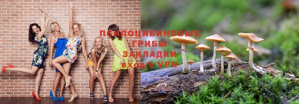 apvp Беломорск