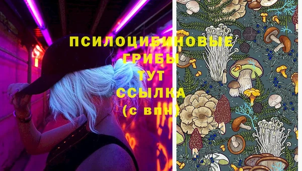 apvp Беломорск