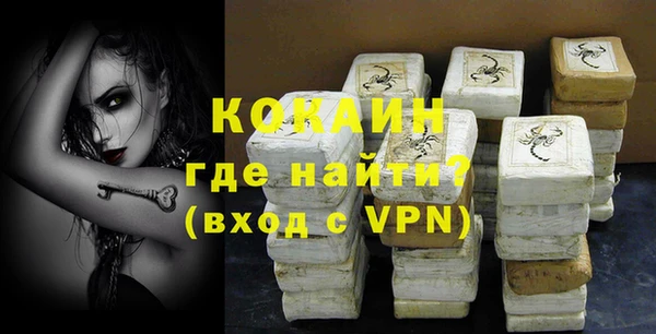 бошки Белокуриха