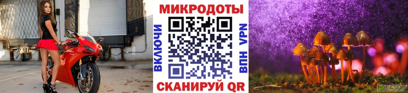 Галлюциногенные грибы мицелий  Горно-Алтайск 
